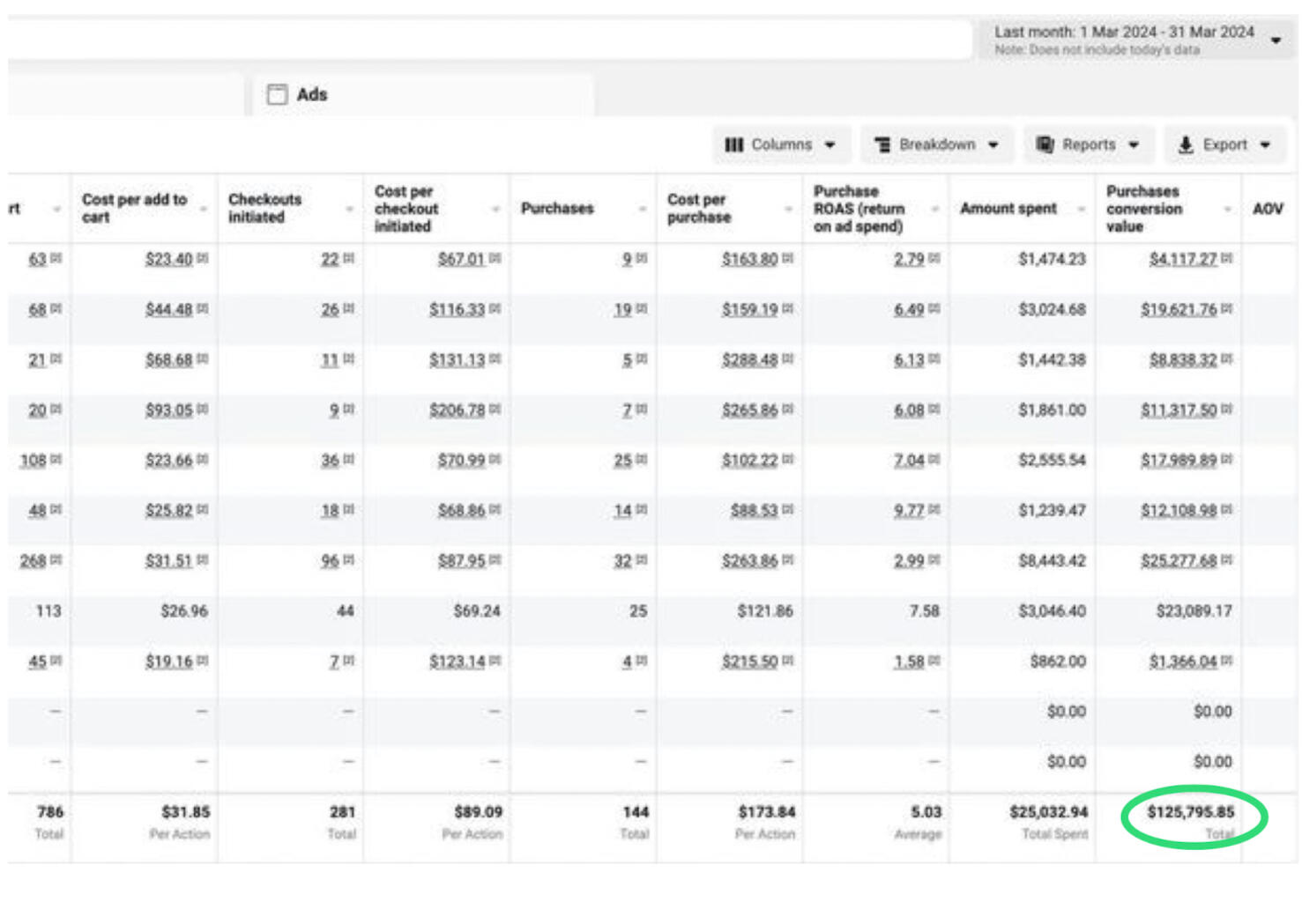 Meta Ads Manager screenshot showing $25,032.94 spent and $125,795.85 in purchase conversion value